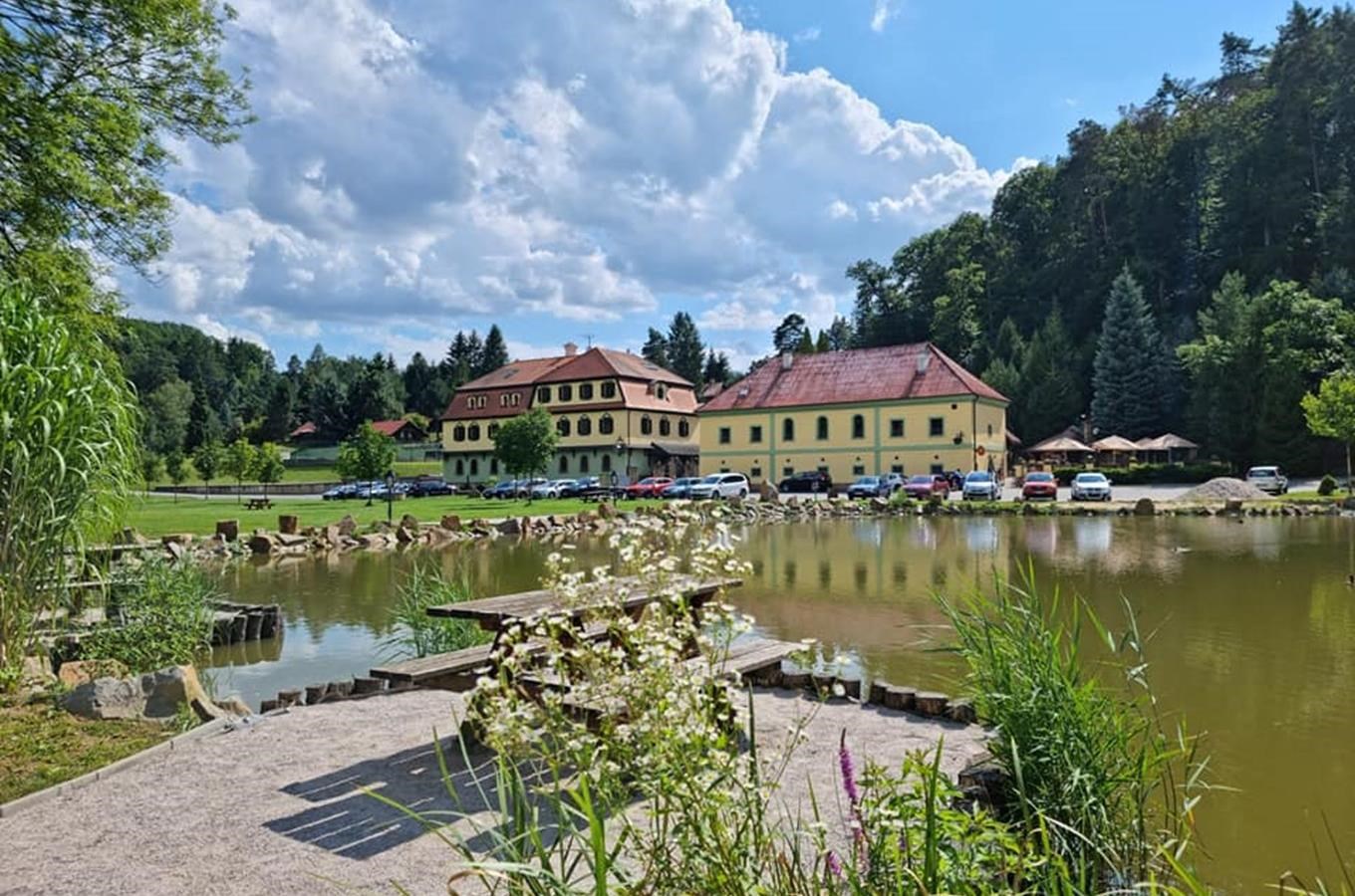 smradavka